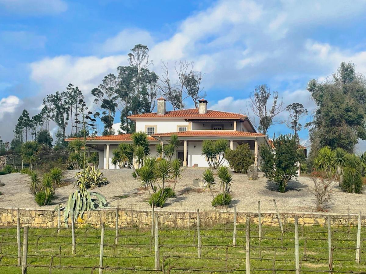 Quinta Da Paixao - Bed & Breakfast Pedraca Exterior photo